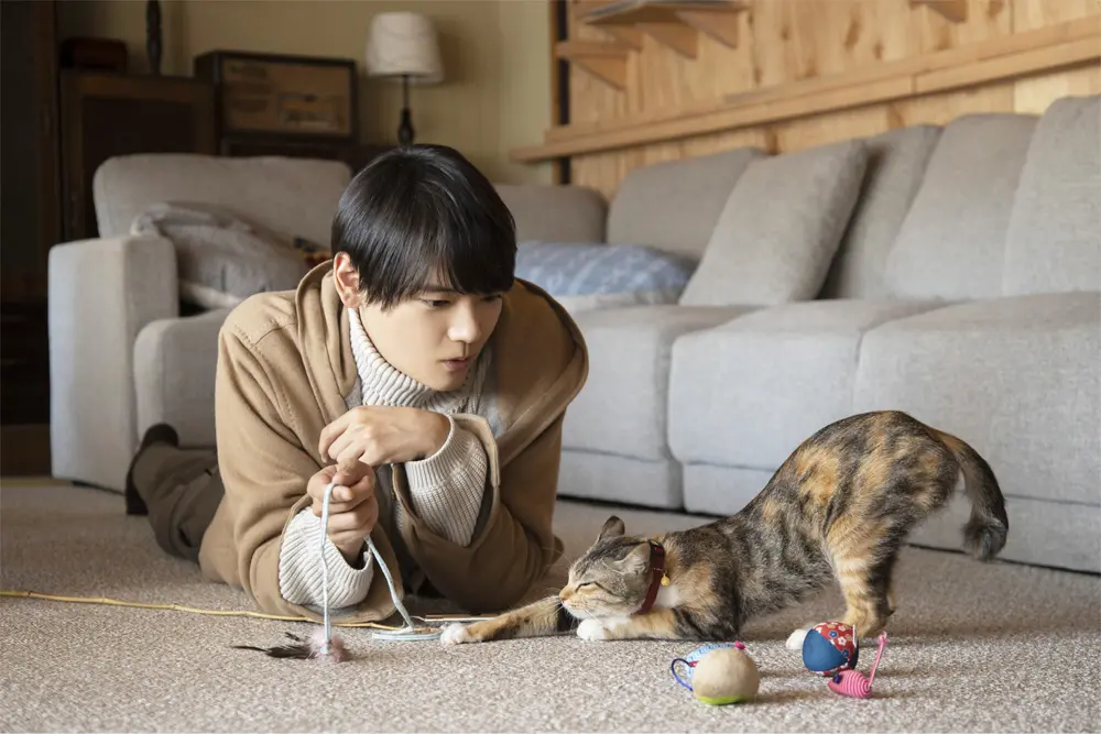 ねこ物件