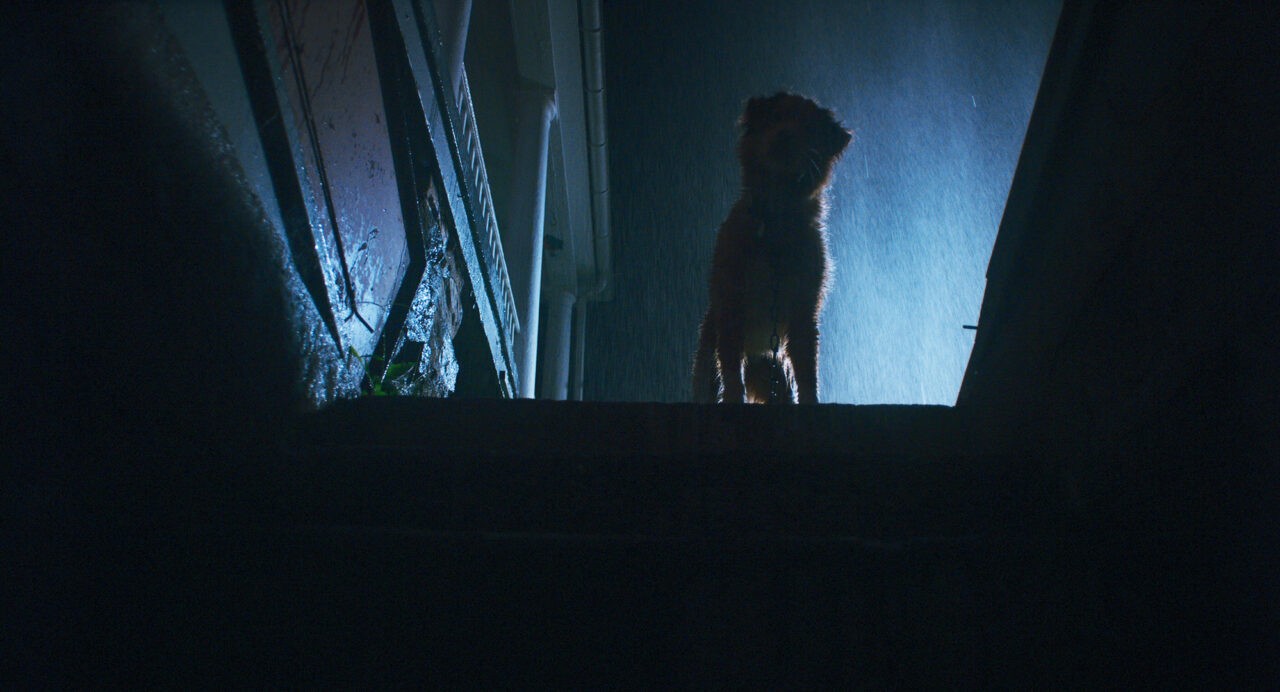 映画『GOOD BOY／グッド・ボーイ』